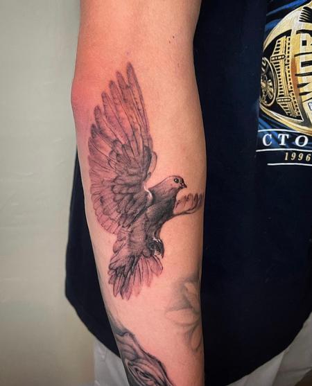 Tattoos - Black and Grey Dove - 145410